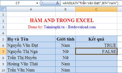 ham and trong excel