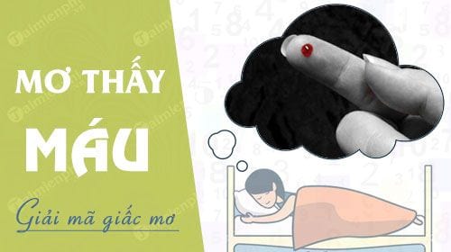 nam mo thay vang