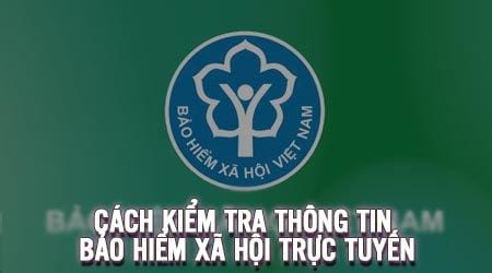cach kiem tra thong tin bao hiem xa hoi truc tuyen tra cuu bhxh