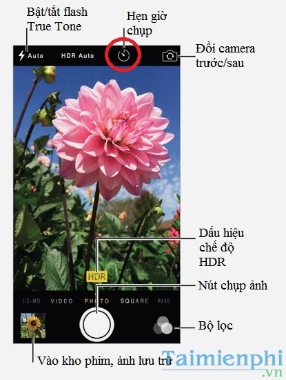 iphone 6 plus