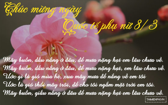 bai hat 8 3 hay nhat tang chi em phu nu