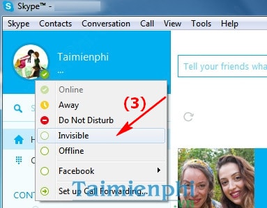 Ẩn nick Skype, invisible tài khoản Skype khi Online