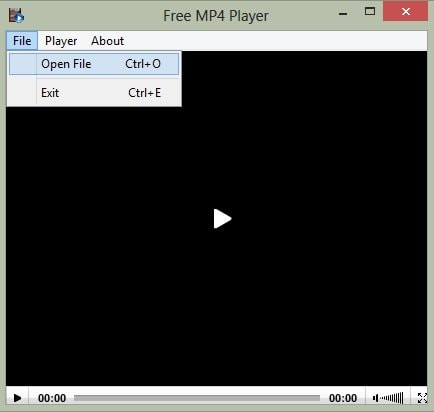 Hướng dẫn cài đặt và sử dụng Free MP4 Player