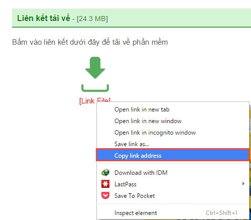 Cách copy link web vào IDM để download, copy đường dẫn vào IDM