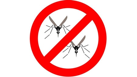 Đuổi muỗi bằng máy tính, phòng tránh bệnh Zika cho phụ nữ có thai