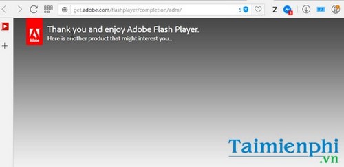 Cách cài Flash Player cho Windows 10