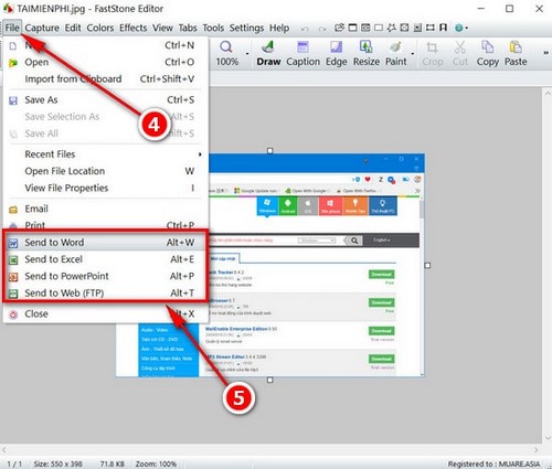 Cách chuyển ảnh từ FastStone Capture sang Paint, Word, Excel, Powerpoint, web