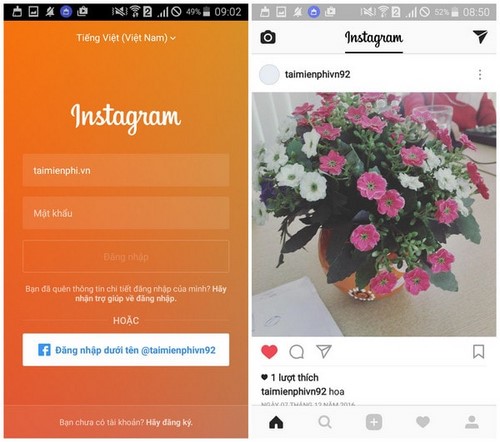 Cách sử dụng Instagram trên Android dành cho người mới