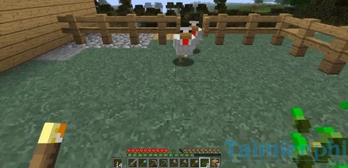 Cách nuôi gà trong Minecraft, tạo và chăm sóc gà game Minecraft