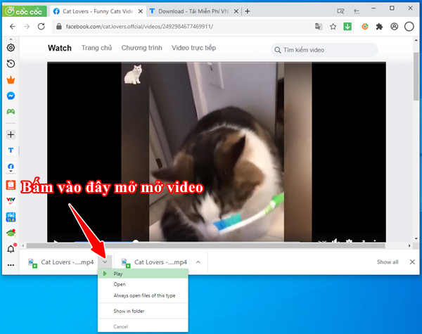 watch facebook video bang Trinh Duyet coc