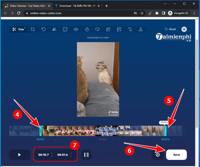 cach cat video online
