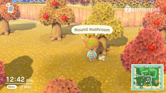 Vị trí nấm trong Animal Crossing New Horizons