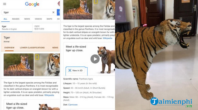 Google 3D Animals là gì? Điện thoại nào hỗ trợ tính năng này?
