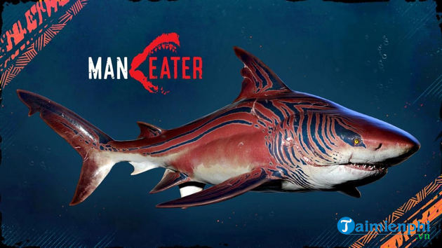 Maneater kỷ niệm Tuần lễ Cá mập với gói DLC miễn phí trên Xbox Store