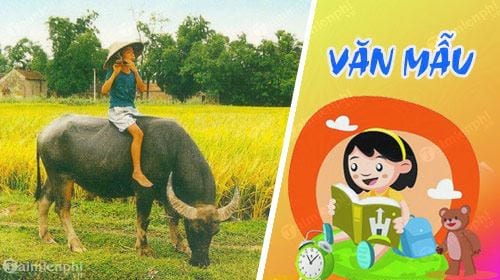 Văn mẫu Tả con trâu ở làng quê Việt Nam lớp 4