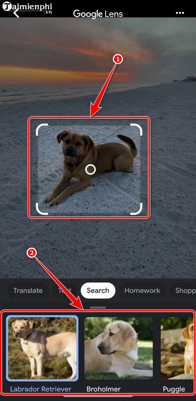 cach su dung iphone tim kiem bang hinh anh