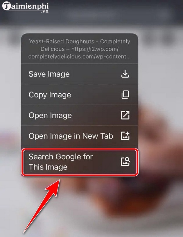 tim kiem hinh anh tren google bang iphone ipad
