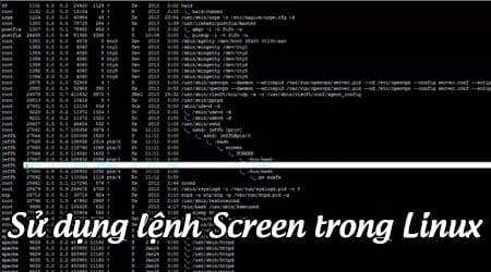 cach su dung lenh screen trong linux