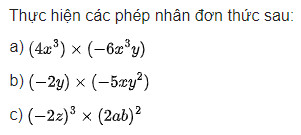 giai toan lop 8 trang 13 14 15 16 17 sach ctst tap 1 cac phep toan voi da thuc nhieu bien 3