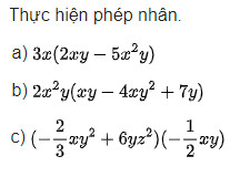 giai toan lop 8 trang 13 14 15 16 17 sach ctst tap 1 cac phep toan voi da thuc nhieu bien 23