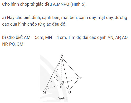 giai toan lop 8 trang 43 44 45 46 47 sach ctst tap 1 hinh chop tam giac deu hinh chop tu giac deu 3