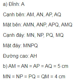 giai toan lop 8 trang 43 44 45 46 47 sach ctst tap 1 hinh chop tam giac deu hinh chop tu giac deu 4