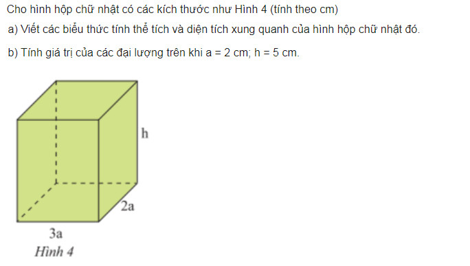giai toan lop 8 trang 7 8 9 10 11 sach ctst tap 1 don thuc va da thuc nhieu bien 13