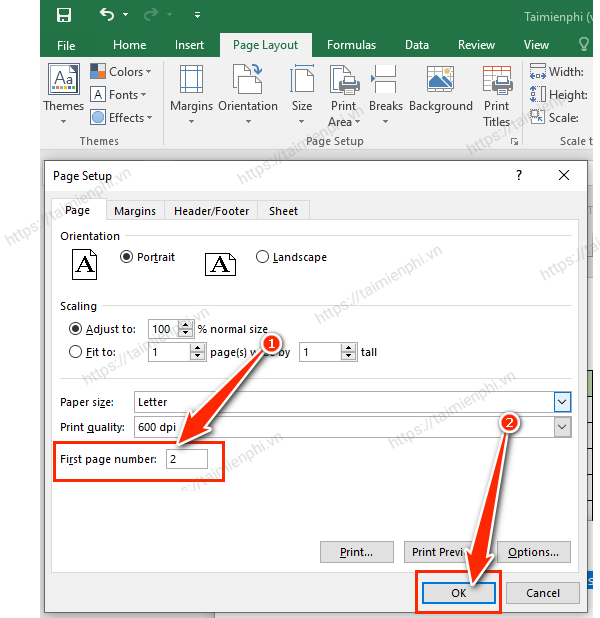 danh so trang trong excel