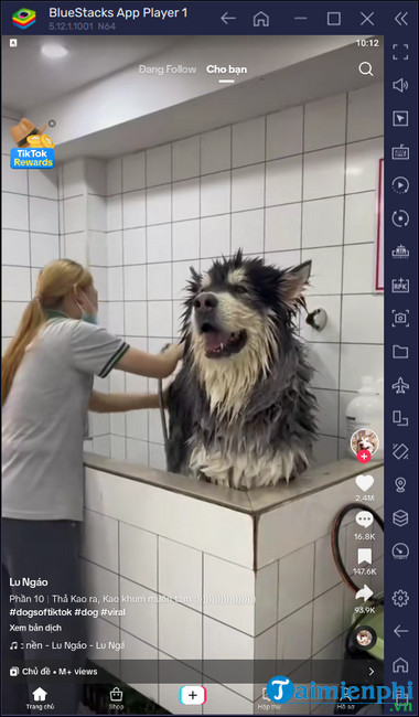 cach tai va cai tiktok pc 18