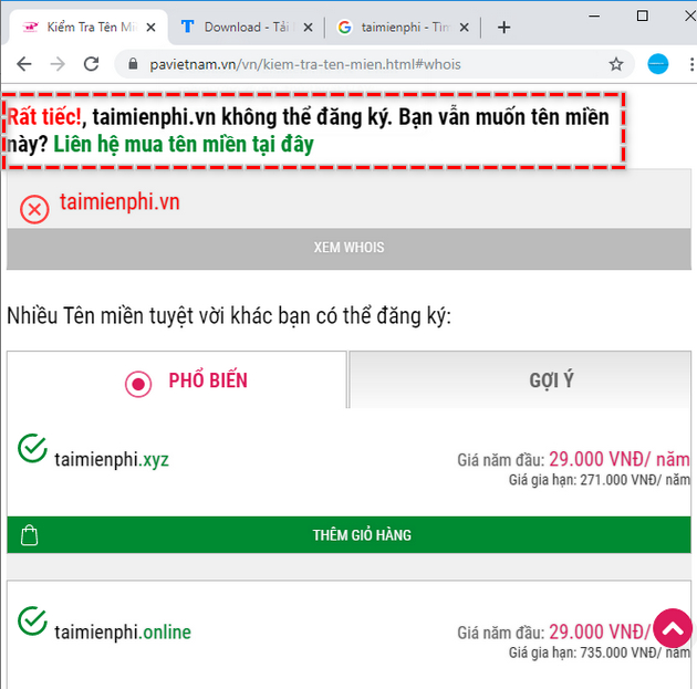 PAVietNam là gì? Cách kiểm tra tên miền bằng PA Việt Nam