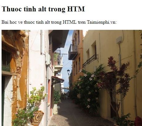 Thẻ img trong HTML