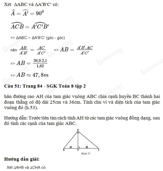 giai toan lop 8 cac truong hop dong dang cua tam giac vuong