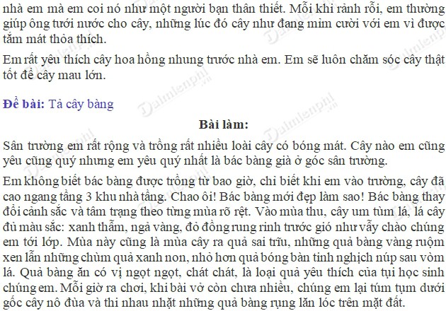 Soạn bài Tập làm văn: Tả cây cối (Kiểm tra viết) trang 99 SGK Tiếng Việt 5