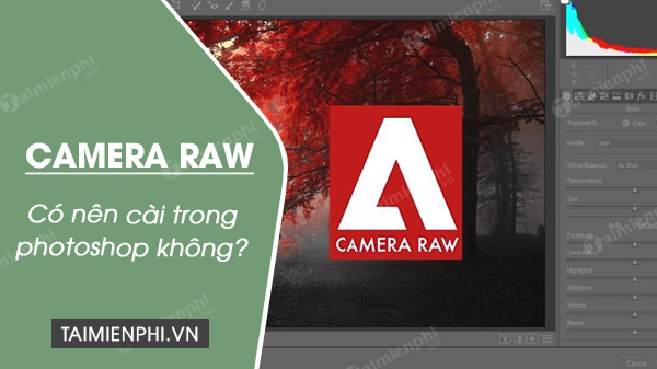 Có nên cài Camera Raw trong Photoshop?