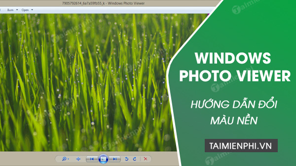 Cách đổi màu nền Windows Photo Viewer trên Windows 10, 8.1 ,8 ,7