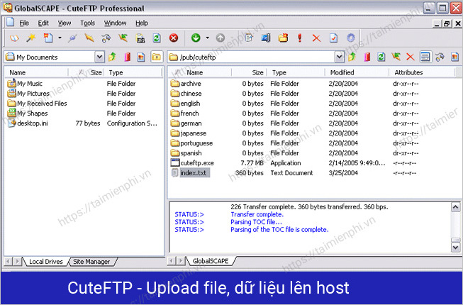 Top phần mềm FTP chuyển file lên web domain