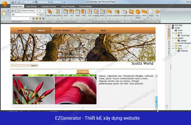 phan mem thiet ke web