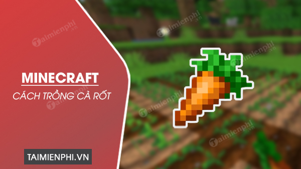 Cách trồng cà rốt trong Minecraft