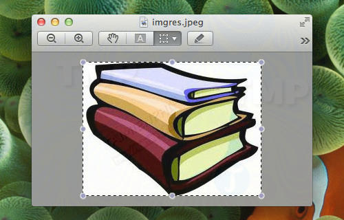 Thay đổi biểu tượng thư mục bằng ảnh bất kỳ trên Mac