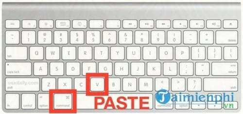Cách Copy và Paste trên Mac OS