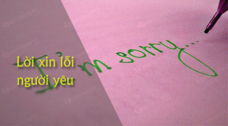 loi nhan xin loi nguoi yeu ban gai