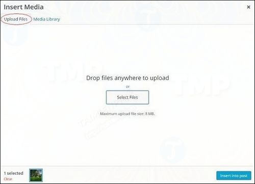 how to insert music and video media files in wordpress 5