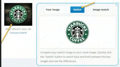 2 công cụ tìm kiếm ngược bằng hình ảnh trực tuyến tốt nhất