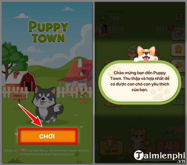 Directing the puppy town game on your phone