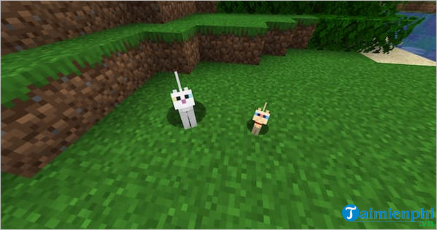 how to attract meow in minecraft