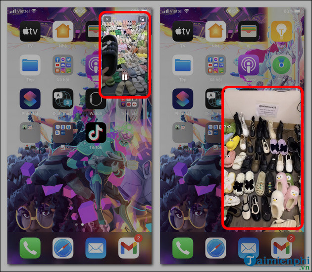 cach xem livestream tiktok cua so noi tren iPhone