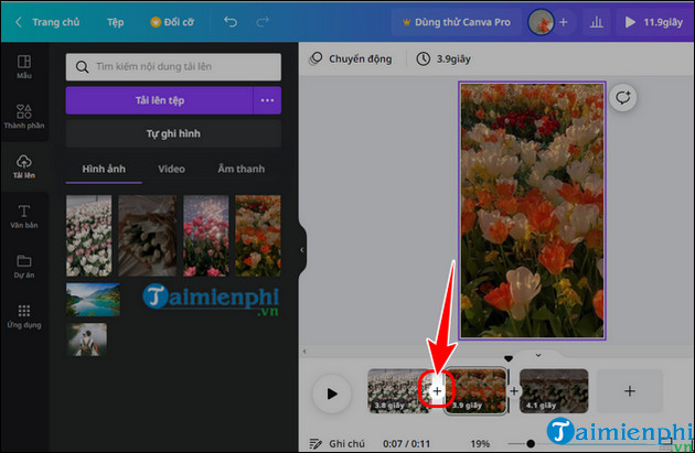 how to add video bar on canva laptop