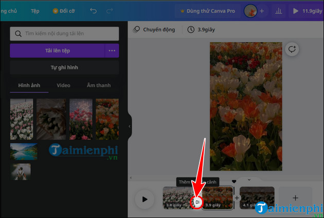 how to add video bar on canva website