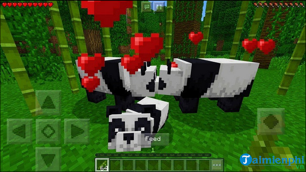 Cách Nuôi Gấu Trúc Trong Minecraft