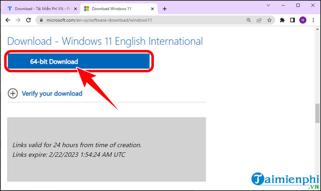 windows 11 22h2 ios download
